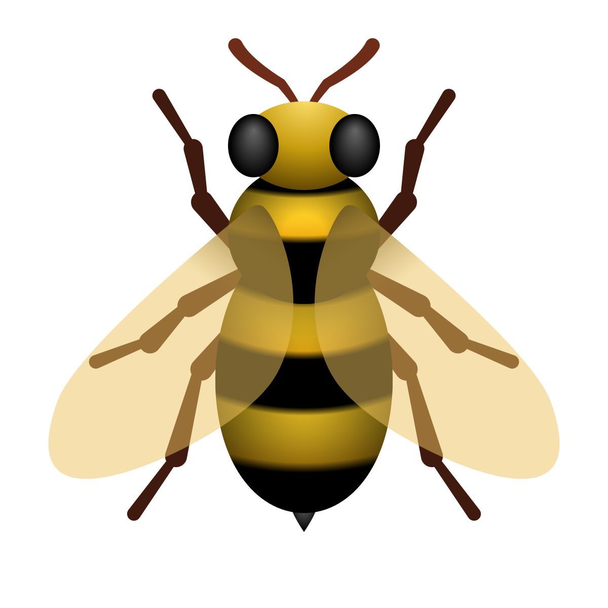 音频实验室乐声径
